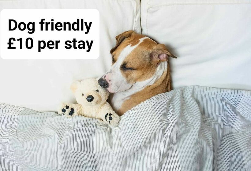 Camera Standard, The Birchtree