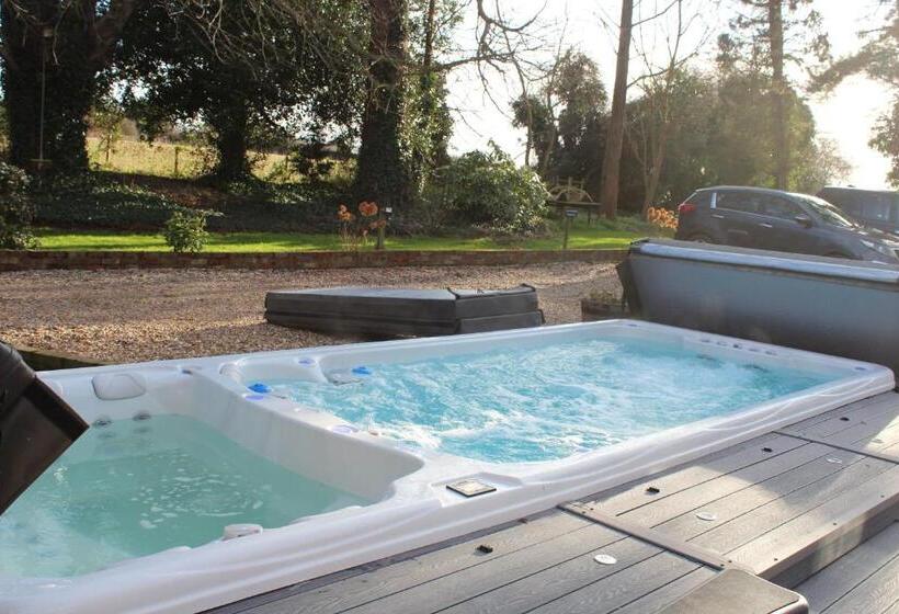 디럭스 룸, Molland Manor House Bed & Breakfast