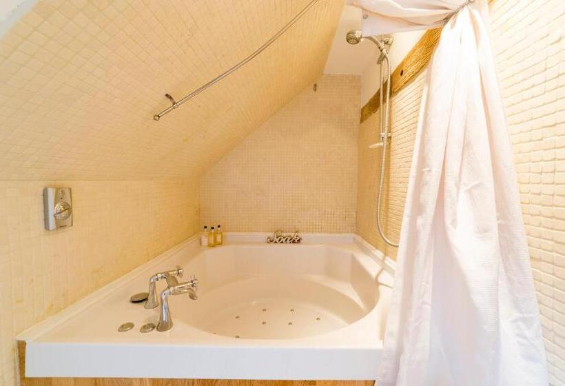 디럭스 룸, Molland Manor House Bed & Breakfast