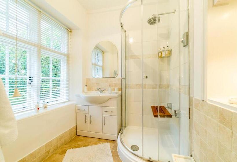 디럭스 룸, Molland Manor House Bed & Breakfast