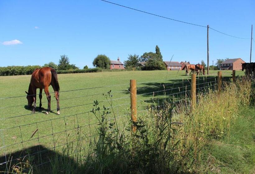 스탠다드 룸, Molland Manor House Bed & Breakfast