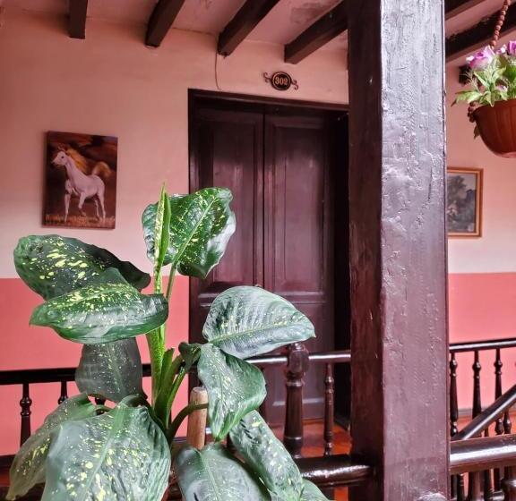 اتاق استاندارد یک نفره, Hostal Juana De Arco