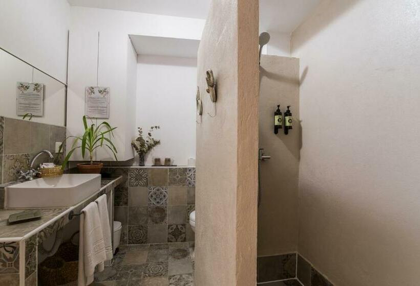 اتاق استاندارد, Rooms Vita