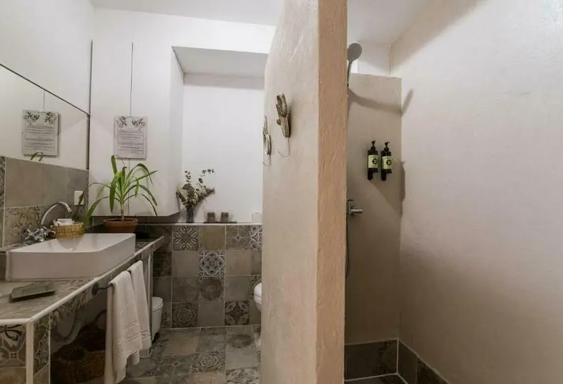 اتاق استاندارد, Rooms Vita