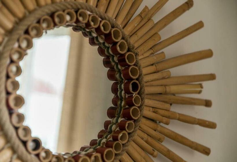 اتاق استاندارد, Rooms Vita