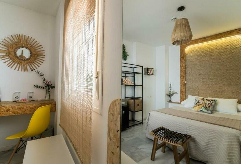 اتاق استاندارد, Rooms Vita