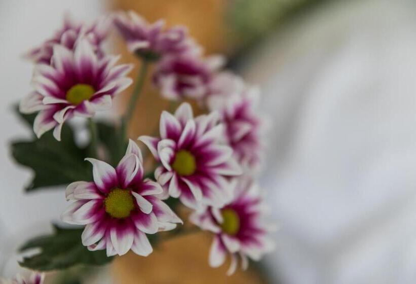 اتاق استاندارد با بالکن, Rooms Vita