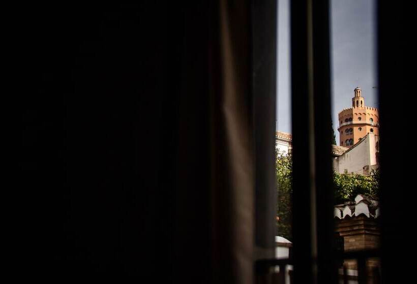 اتاق استاندارد در طبقه همکف, Rooms Vita