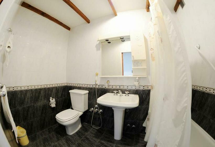 חדר סטנדרט חדר אמבטיה משותף, Bed And Breakfast Aijpel