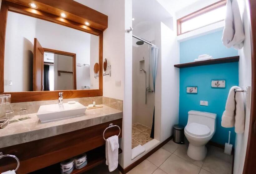 غرفة قياسية, Cucuve