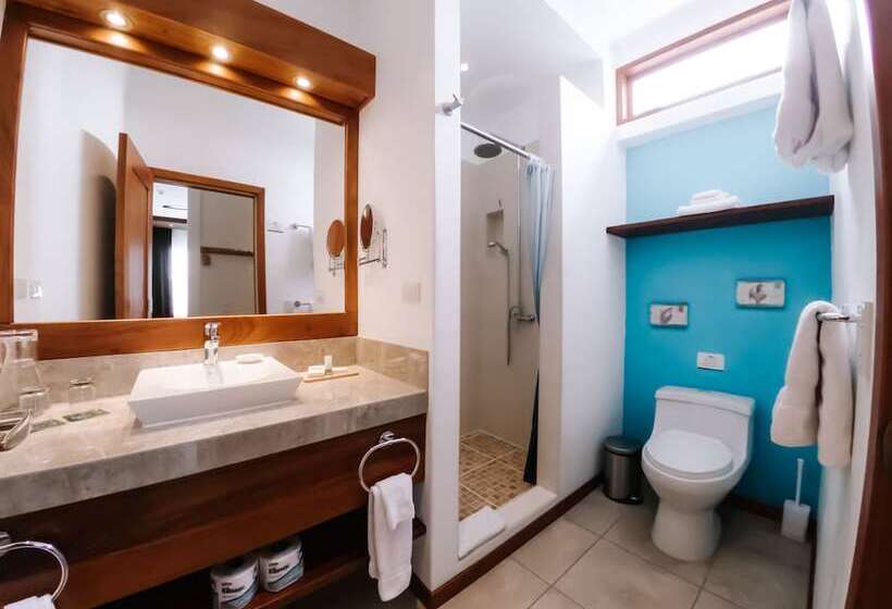 غرفة قياسية, Cucuve