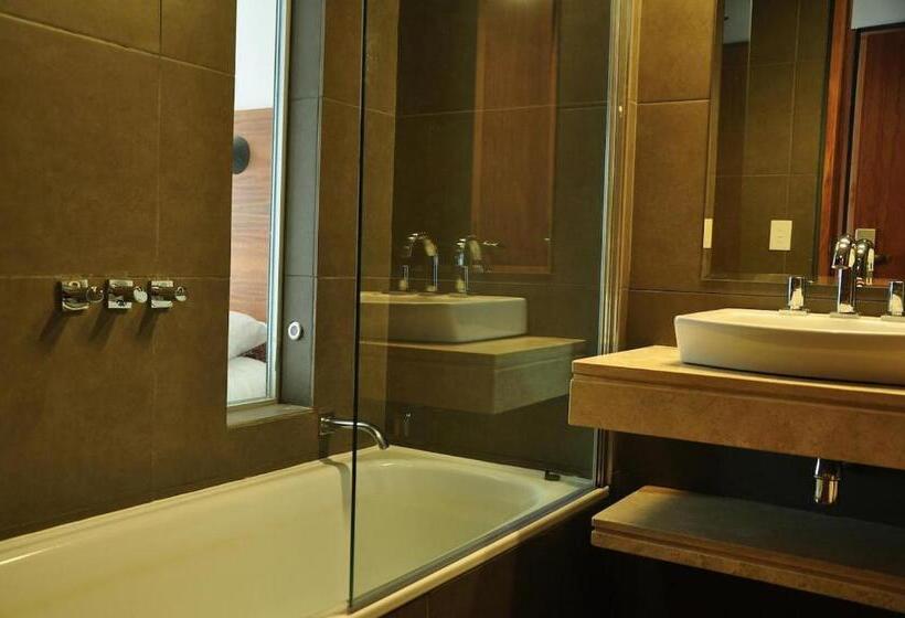 スタンダードルーム, Ignea