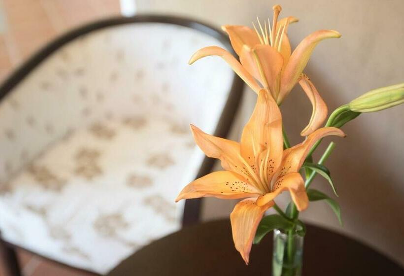 高级三人间, Nawan Resort Serrano