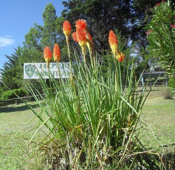 スタンダードバンガロー, San Juan