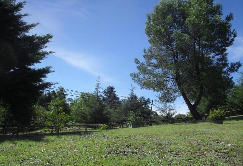 スタンダードバンガロー, San Juan