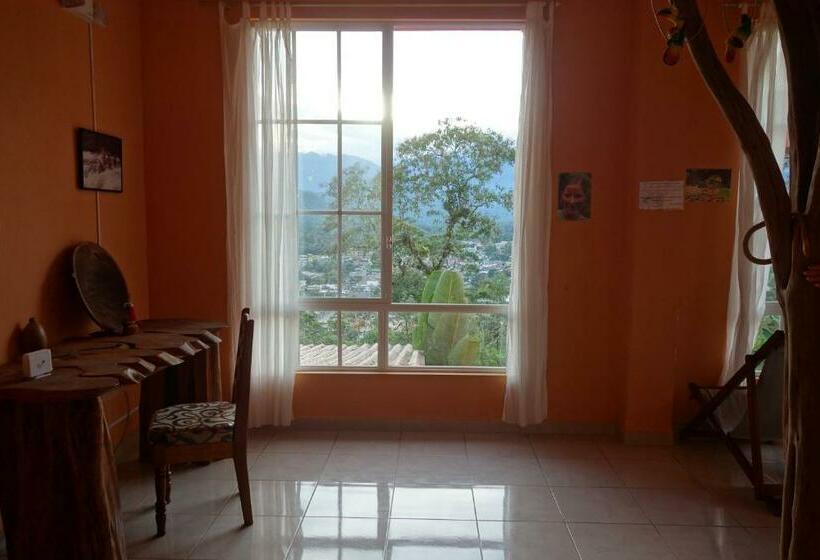 스탠다드 룸, Hostal Tena ñaui