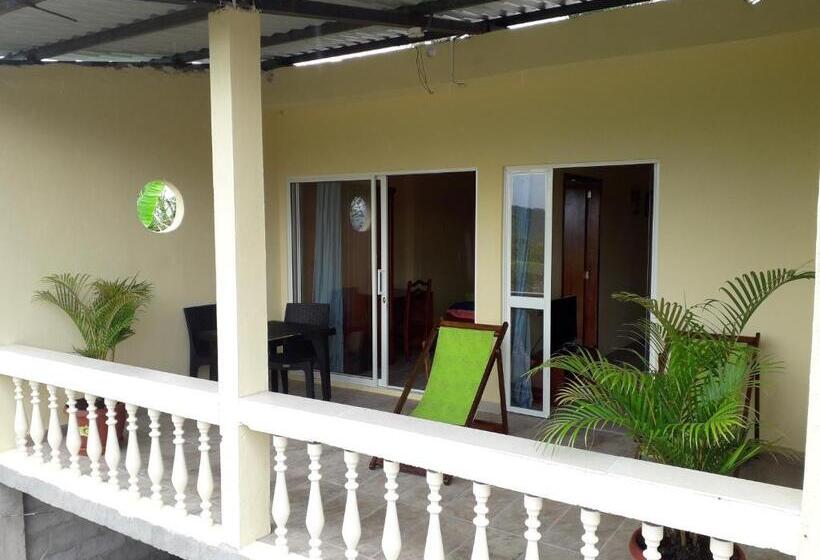 テラス付き１ベッドルームアパートメント, Hostal Tena ñaui