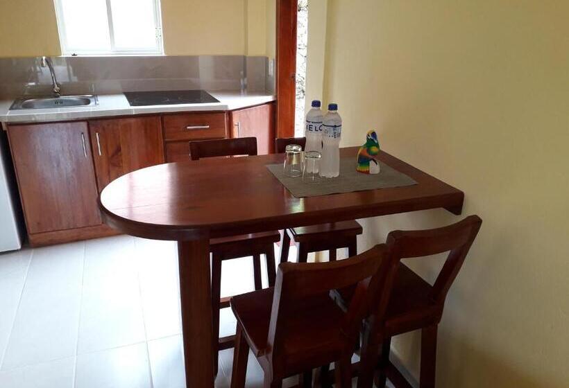 침실 1개 테라스 아파트, Hostal Tena ñaui
