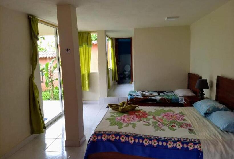 컴포트 트리플 룸, Hostal Tena ñaui