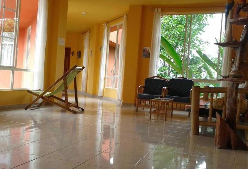 컴포트 트리플 룸, Hostal Tena ñaui