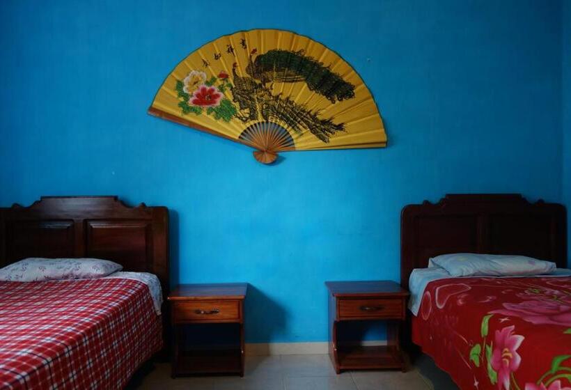 스탠다드 트리플 룸, Hostal Tena ñaui