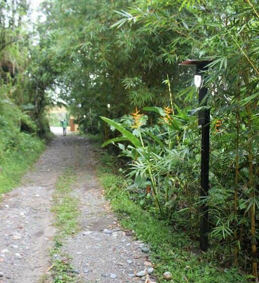 침실 1개 테라스 아파트, Hostal Tena ñaui