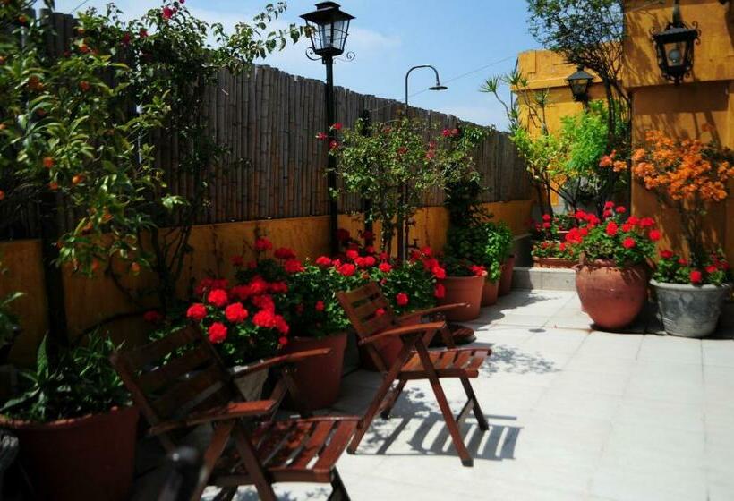 اتاق سوپریور, Optimus Ba