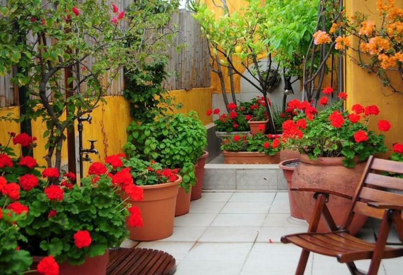 اتاق سوپریور, Optimus Ba