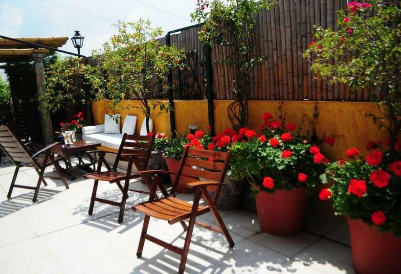 اتاق سوپریور, Optimus Ba