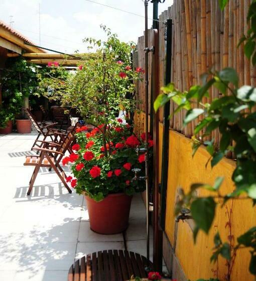 اتاق سوپریور, Optimus Ba