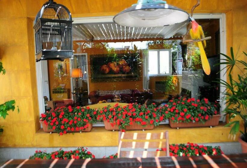 اتاق سوپریور, Optimus Ba