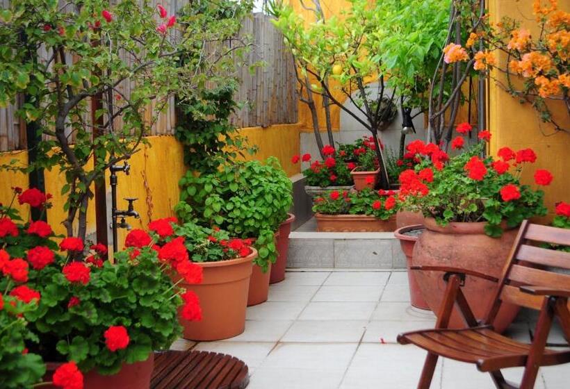 اتاق استاندارد, Optimus Ba