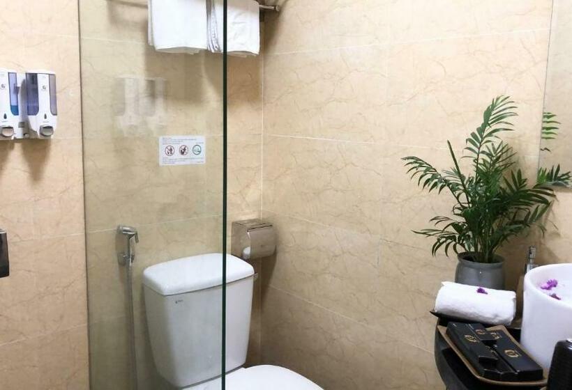 اتاق سوپریور, Hanoi Elpis