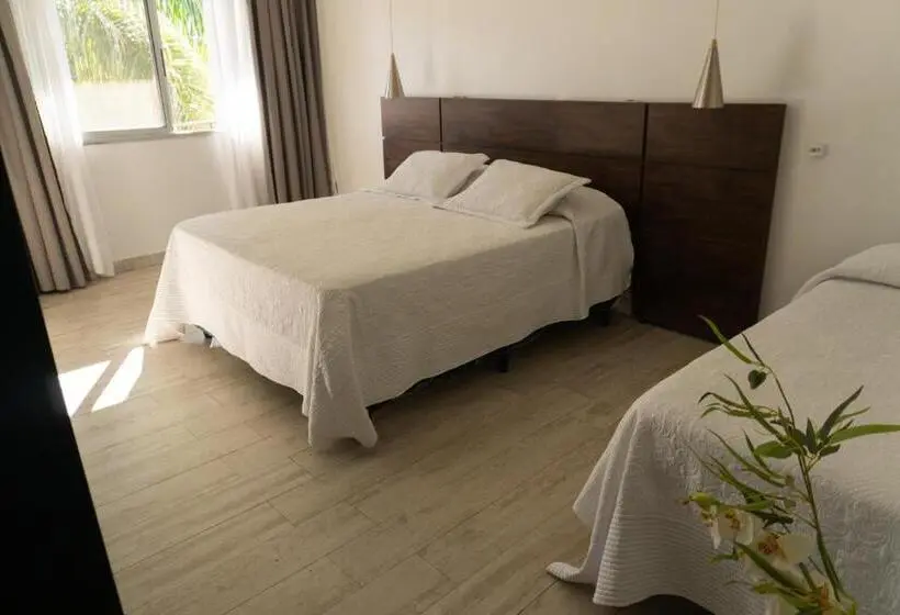 3 Bett Premium Zimmer, Oaky
