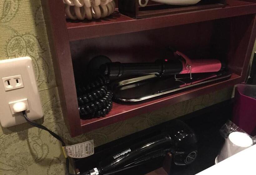 スタンダードルーム, Salle De Bain