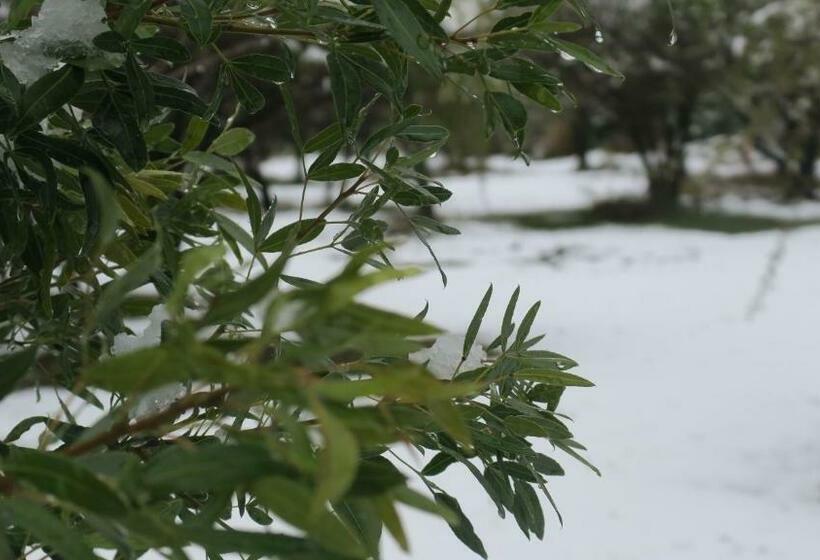 شاليه غرفة نوم واحدة, Cabañas Yanasuy