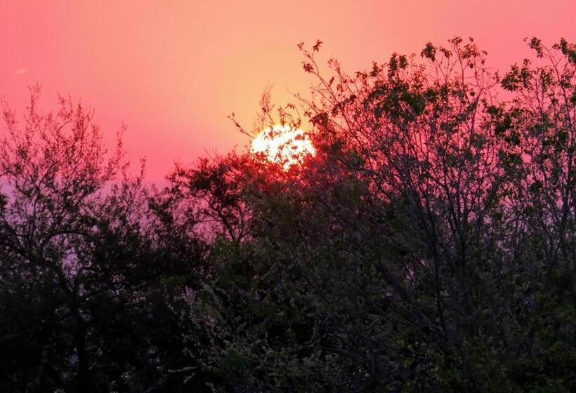 شاليه غرفة نوم واحدة, Cabañas Yanasuy