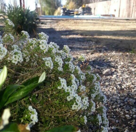 מיטה בחדר משותף, Shanti Hostel