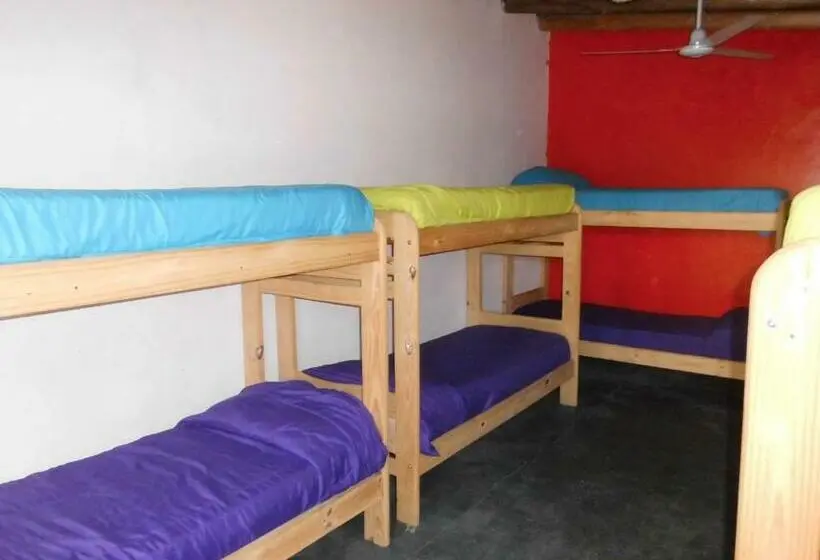 ルームシェアのワンベッド, Shanti Hostel