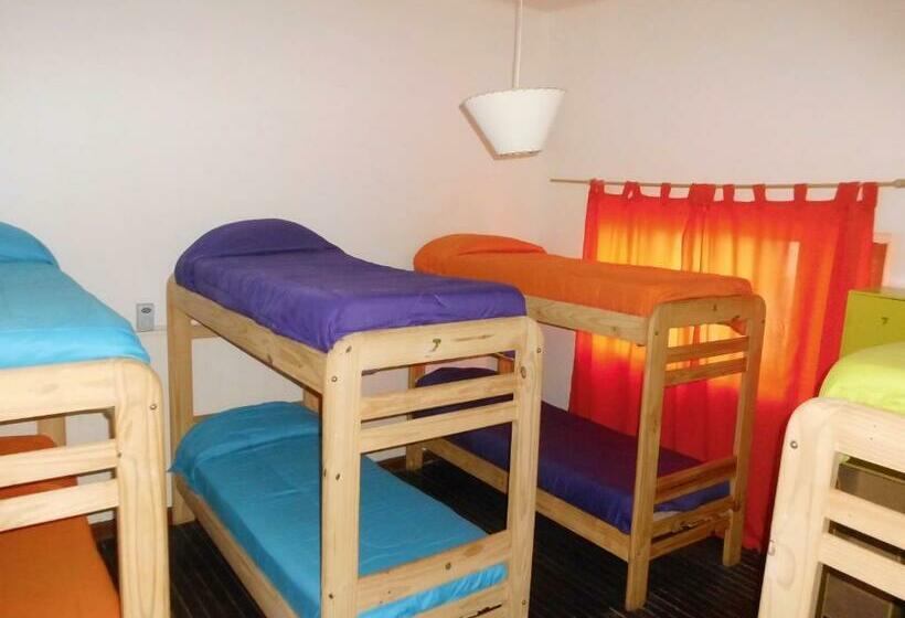 מיטה בחדר משותף, Shanti Hostel