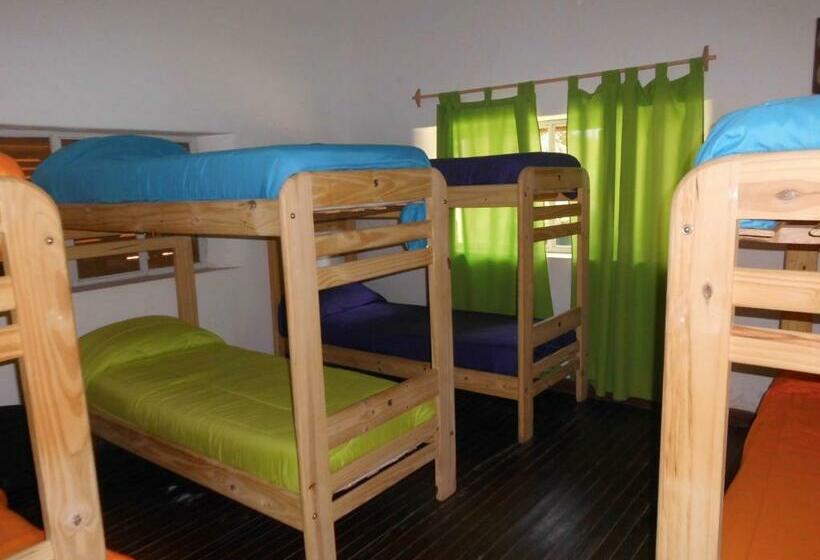 מיטה בחדר משותף, Shanti Hostel