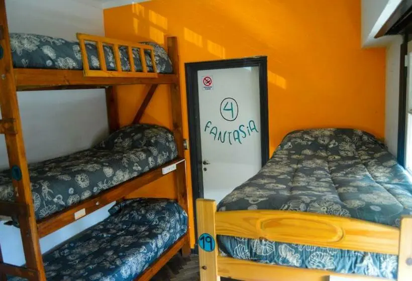 Vuode Makuusalissa, Zeppelin Art Hostel
