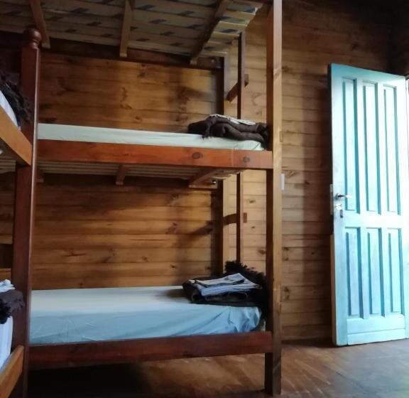 스탠다드 방갈로, Zeppelin Art Hostel