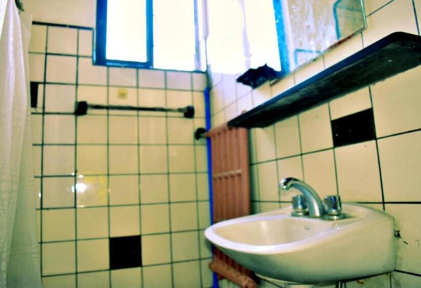 스탠다드 방갈로, Zeppelin Art Hostel