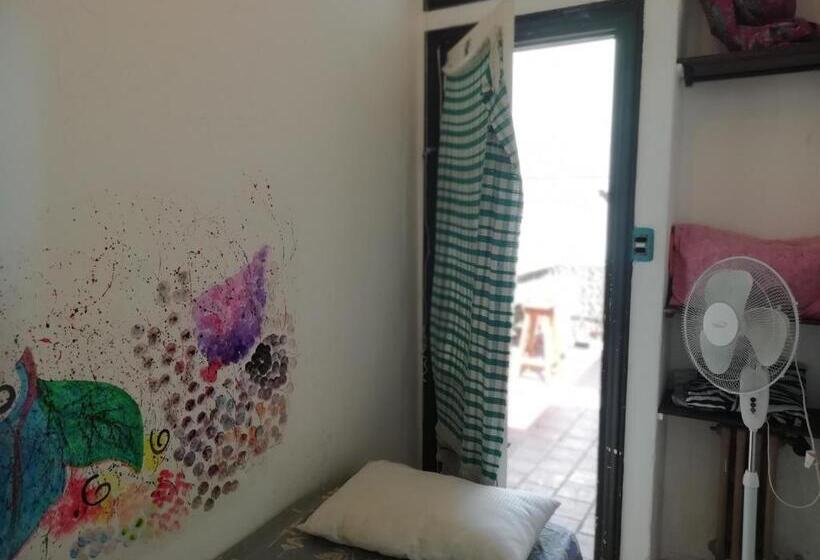 스탠다드 싱글 룸 공동욕실, Zeppelin Art Hostel