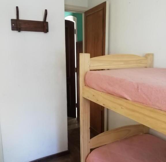 정원 전망 4인용 스탠다드 룸, Zeppelin Art Hostel