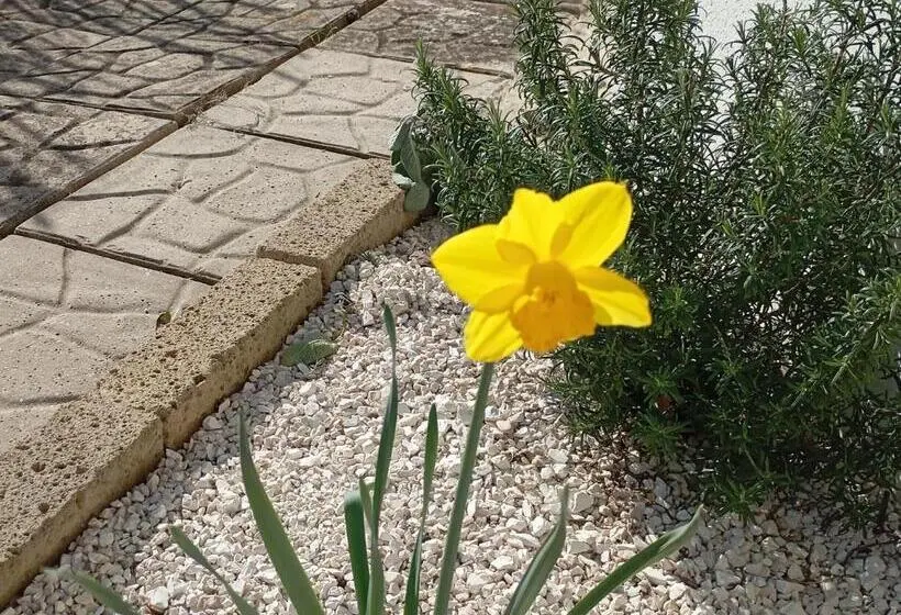 Duplex-huone, B&b Villa Alma