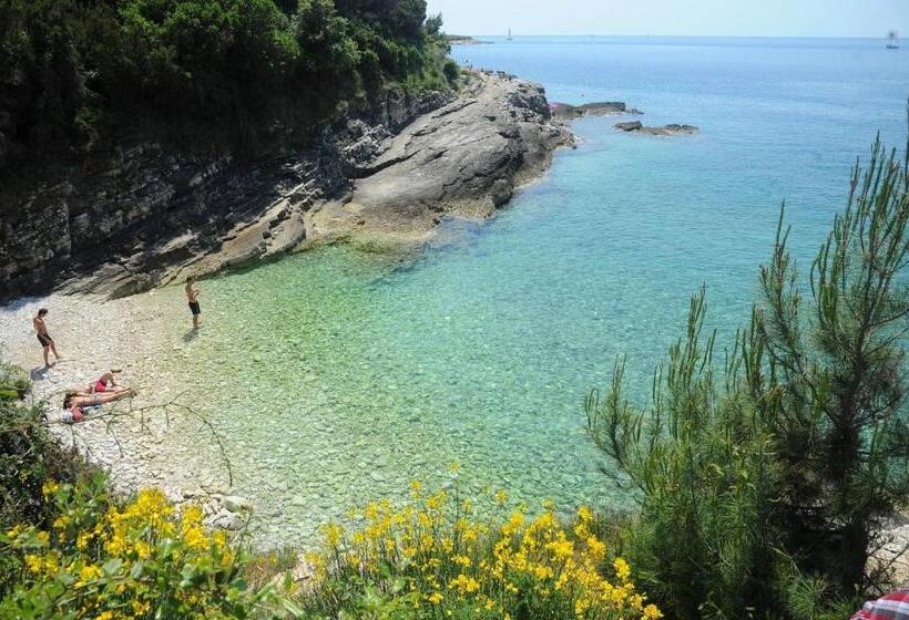 חדר סטנדרט, Room In Studio   Apartment Aniko Near The Sea