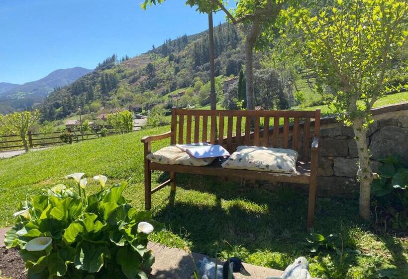 اتاق سوپریور با تخت بزرگ, Finca Malvasia   Adults Only