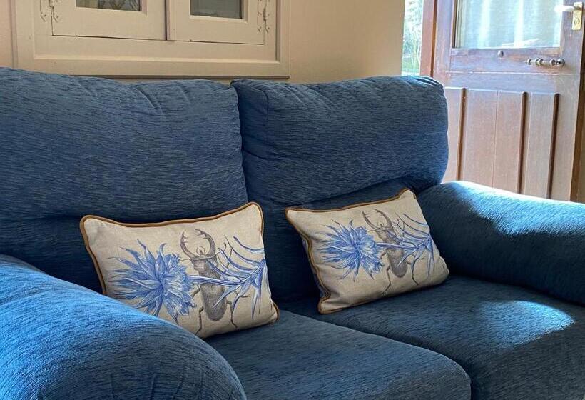 Lejlighed 1 Soveværelse, Finca Malvasia   Adults Only